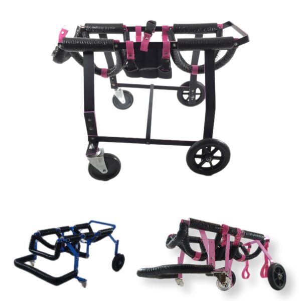 Andador Pet Grande Porte